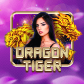 Dragon Tiger table plus game